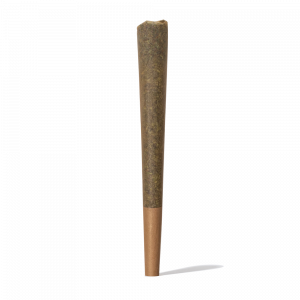 Iguana Smoke Pre Roll Cono de CBD 1gr
