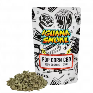 pop corn 25g