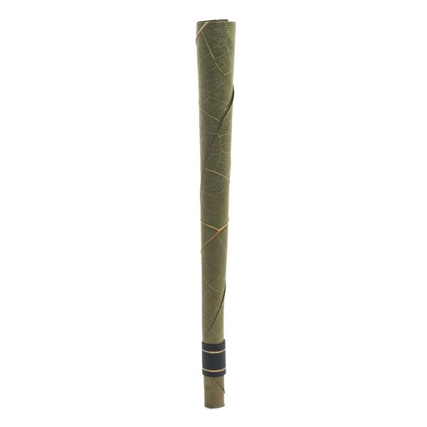 Blunt de CBD King Size Iguano 1,5gr
