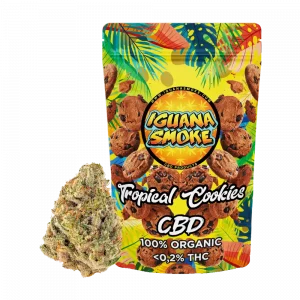 Tropical Cookies CBD