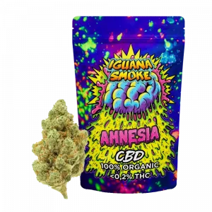 bolsa amnesia flores