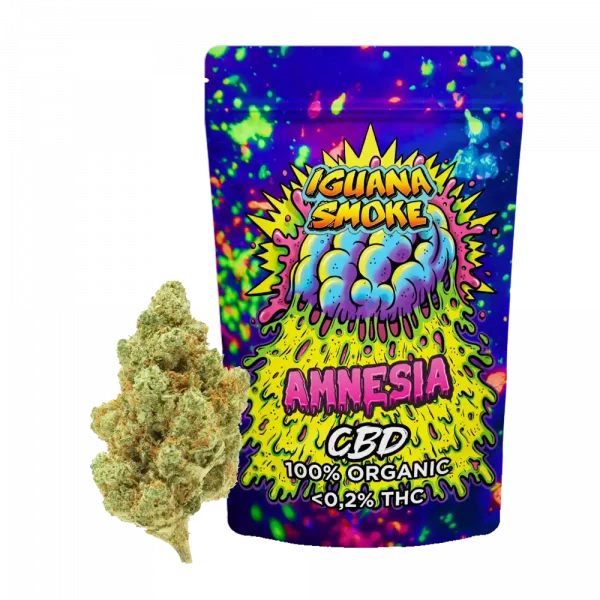 bolsa amnesia flores