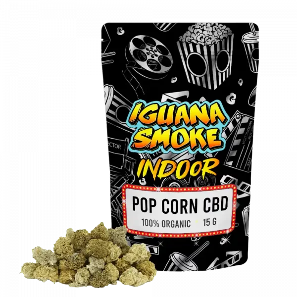 Pack Pop Corn - Mini Buds Indoor CBD 15gr x 10 Unidades - Image 2