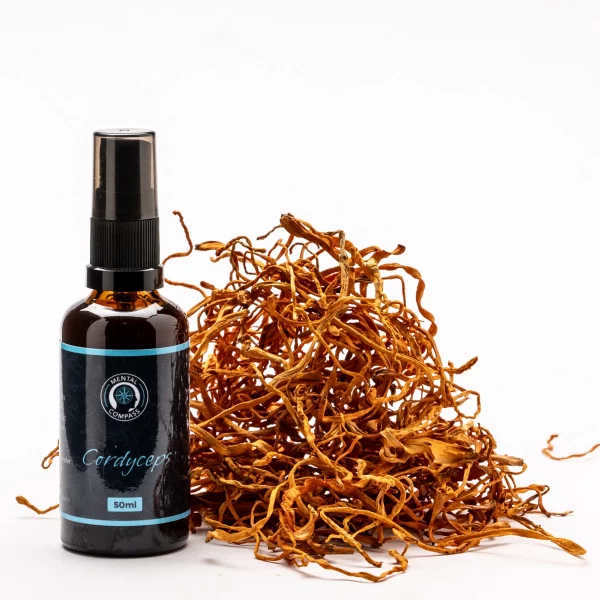 Extracto Orgánico de Cordyceps - Image 4