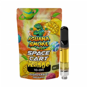 Cartucho desechable 10-OH - Mango
