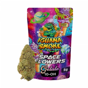 Flor 10-OH Gelato Space Flowers